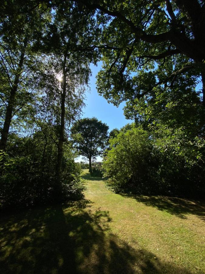 Appartement Duinweg Onstwedde Eksteriør billede